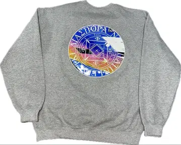Diaspora Skateboards 맨투맨 L