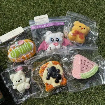 스퀴즈 세트