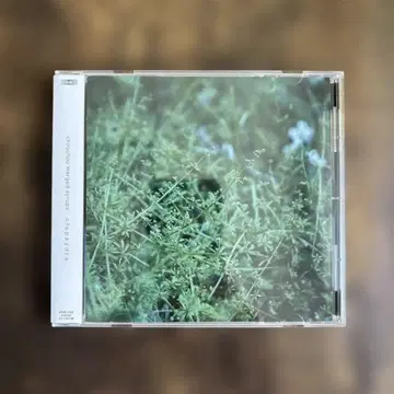 Chouchou Merged Syrups. Clepsydra CD