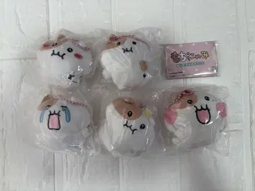 모치냐미 봉제 인형 마스코트 전 5종 컴플리트 상품 라스트