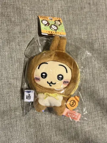 치이카와 (먼작귀) 시가라키 너구리