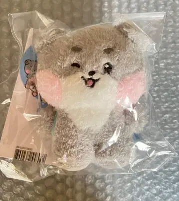 zeroni 고니니