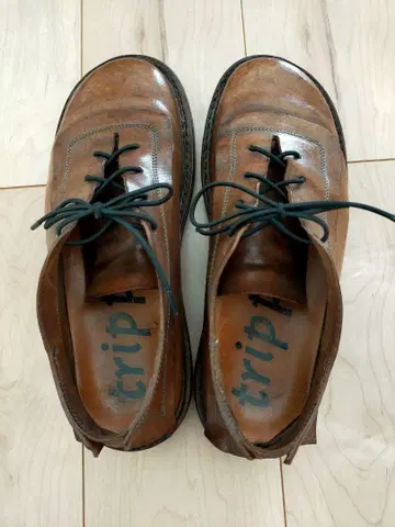 trippen 브라운 레이스업 슈즈