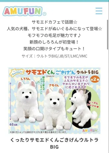 봉제 인형 개 사모예드 흐물흐물 사모예드 군 울트라 BIG 46cm