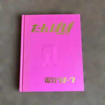 민들레 TOUR'94 전기 그루브