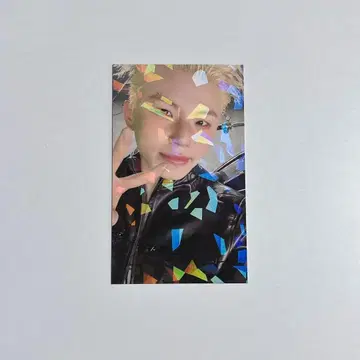 SEVENTEEN HAPPY BURSTDAY 유니버셜 라키도로 우지
