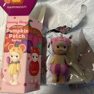 소니 엔젤 호박 패치 pumpkin patch 팬더