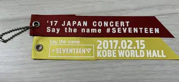 SEVENTEEN JAPAN CONCERT