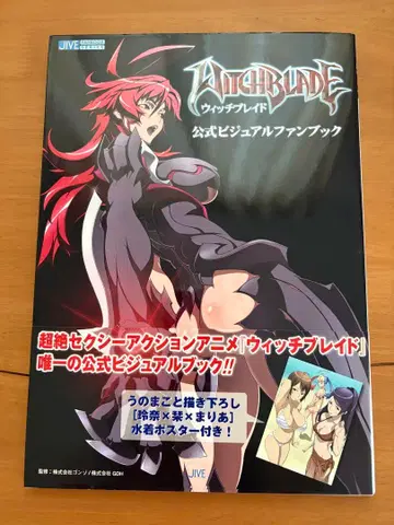 초판 위치 브레이드 공식 비주얼 팬북 포스터 포함 자이브