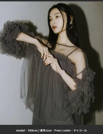 ANDRESD 데코라티브 튤 상의 차콜