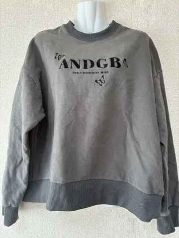 ANDGB 나비 자수 속기모 그레이 맨투맨