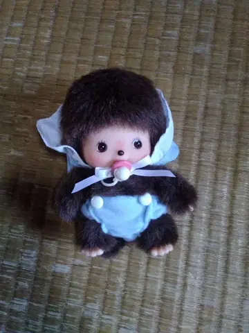 베비치치