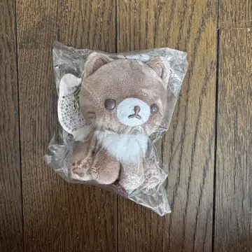 코코아 캣 봉제 인형