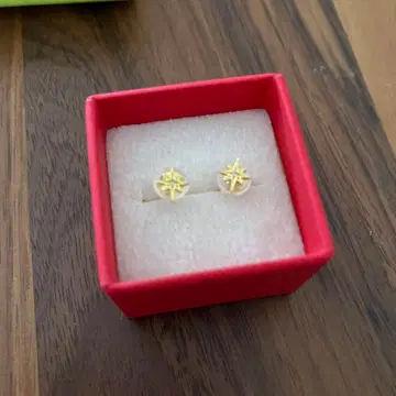 Aurora Gran 스텔라 귀걸이 페어