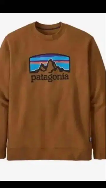patagonia 브라운 트레이닝복 S 사이즈