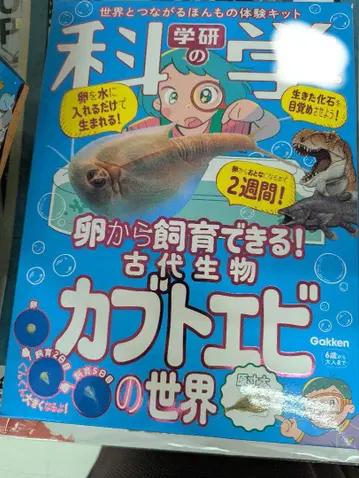 사육 키트 가켄