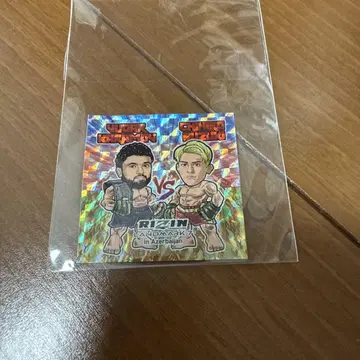 RIZIN 부가르케라모프 VS 스즈키 치히로 아베마 씰