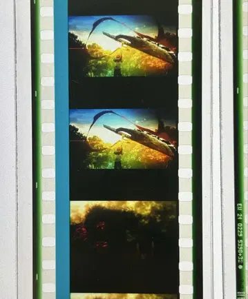 Fate 특전 필름 에미야 시로 사격 100두 1