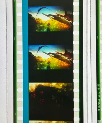 Fate 특전 필름 에미야 시로 사격 100두 1