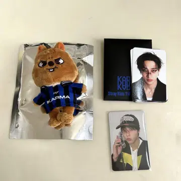 straykids skzoo KARMA 한쿼카