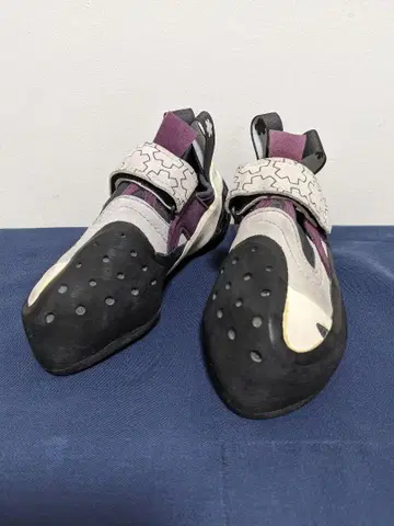오츤 옥시 레이디 EU36