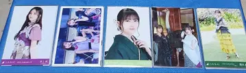 노기자카46 브로마이드 50장 묶음 판매