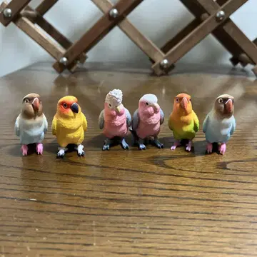 잉꼬 컬렉션 6마리 피규어 오브제 새 가챠