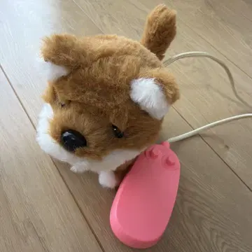 개 짖는 걷는 완구