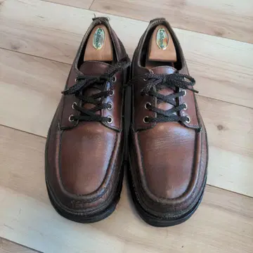 러셀 모카신 nepenthes 트리플 바움프