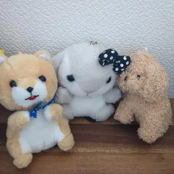 콩시바 외 3체 세트 봉제 인형