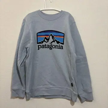 patagonia 트레이닝복