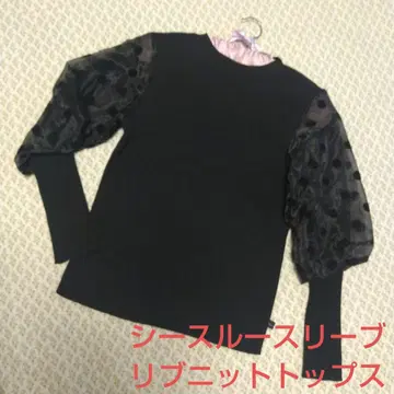 블랙 시스루 도트 무늬 소매 리브 니트탑