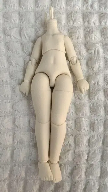 TinyFox 1/6 데비 헤드와 바디