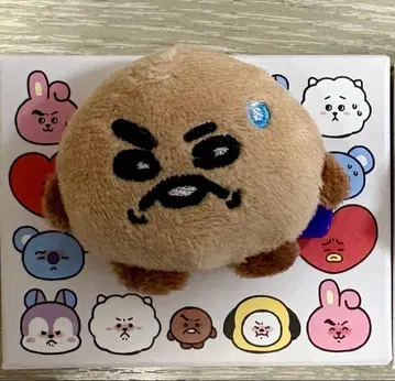 BT21 랜덤 페이스 브로치 SHOOKY TODAY'S FACE