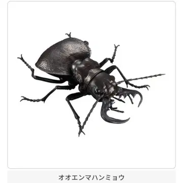 생물대도감 사슴벌레05 오오엔마한묘