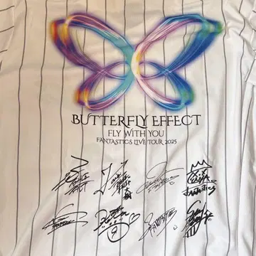 BUTTERFLY EFFECT 업그레이드 굿즈
