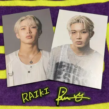 즉시 구매 우선 러스피 엽서 스티커 RAIKI 라이키
