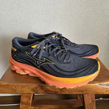 미즈노 Mizuno WaveSkyrise5 러닝화 27.0cm