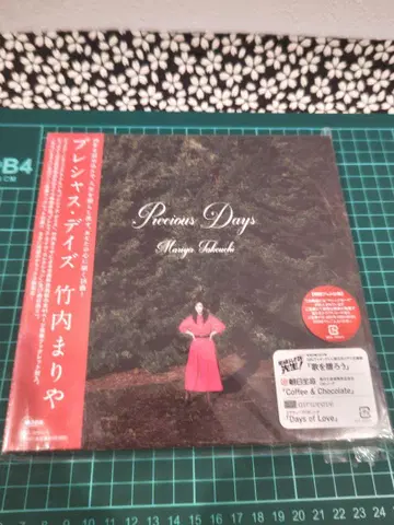 Precious Days 타케우치 마리야