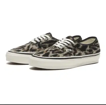 Authentic 44 LEOPARD VANS 오센틱 레오파드