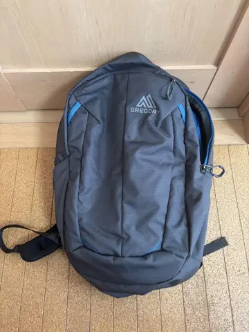 그레고리 백팩 20l