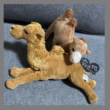 COLORATA 낙타 봉제 인형 2마리 세트