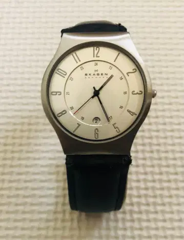 스카겐 SKAGEN 233XXLSLC 남성용 블랙 손목시계