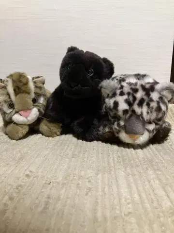 이리오모테삵 레오파드 봉제 인형 세트