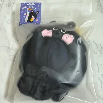 RIIZE 원빈 토냥덕 응원봉 커버