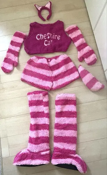 체셔 고양이 이상한 나라의 앨리스 2000엔 가격 인하했습니다