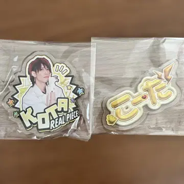 리얼피스 코타 배치 세트