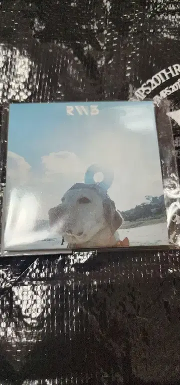 radwimps 20th 20주년 레코드 코스터 무인도에 두고 온 1장