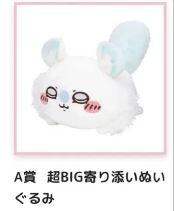 치이카와 모몽가 복권 A상 초 BIG 곁에 있어줘 봉제 인형