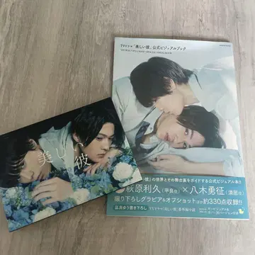 DVD 아름다운 그이 공식 비주얼 북 세트